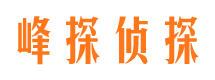 汉源商务调查